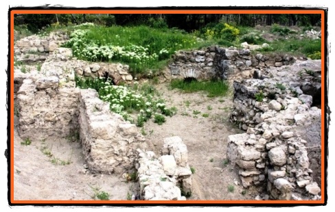 Fortareata romana de la curbura Carpatilor buzoieni